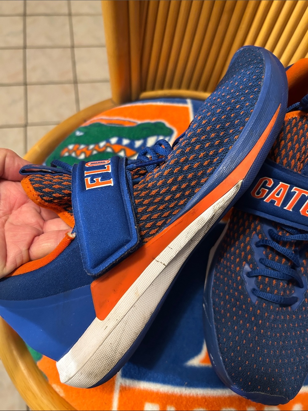 Florida gators - Picture 2 of 9